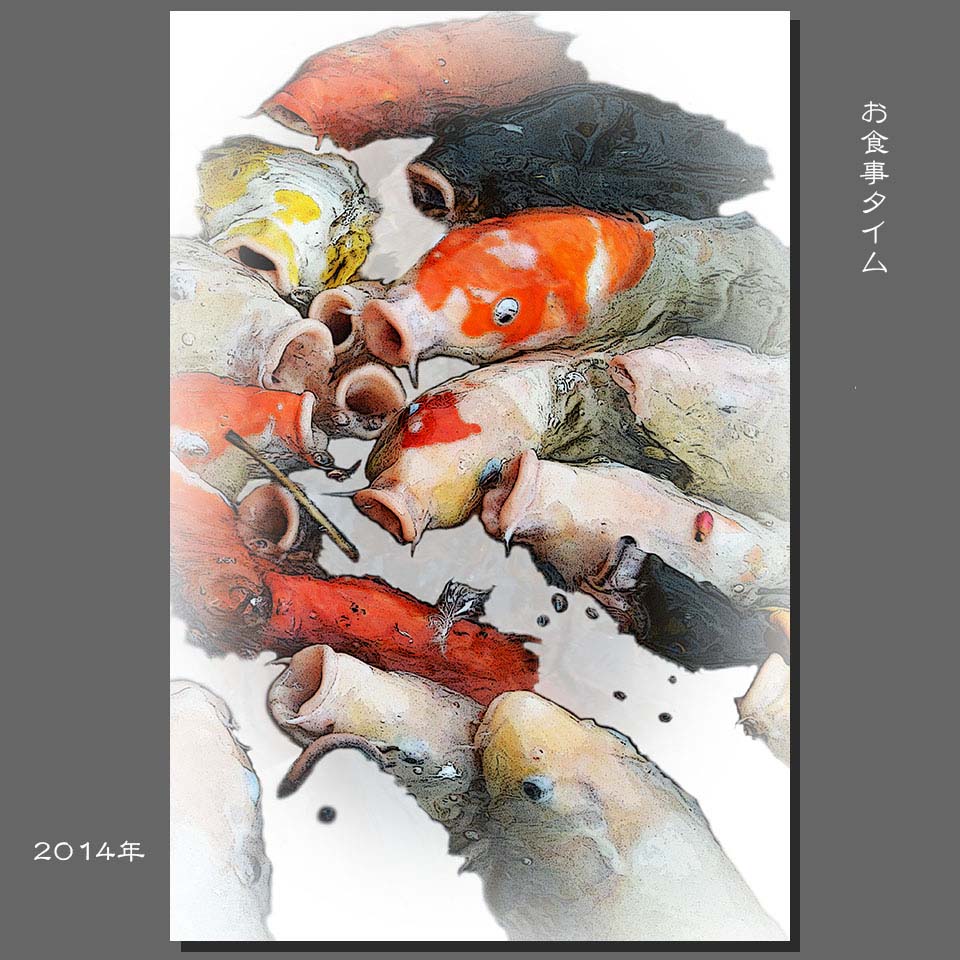 koi