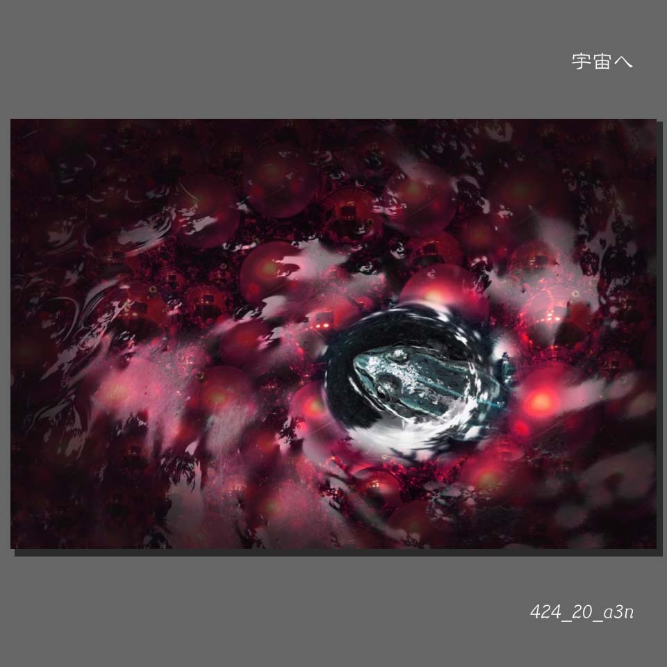 424_20