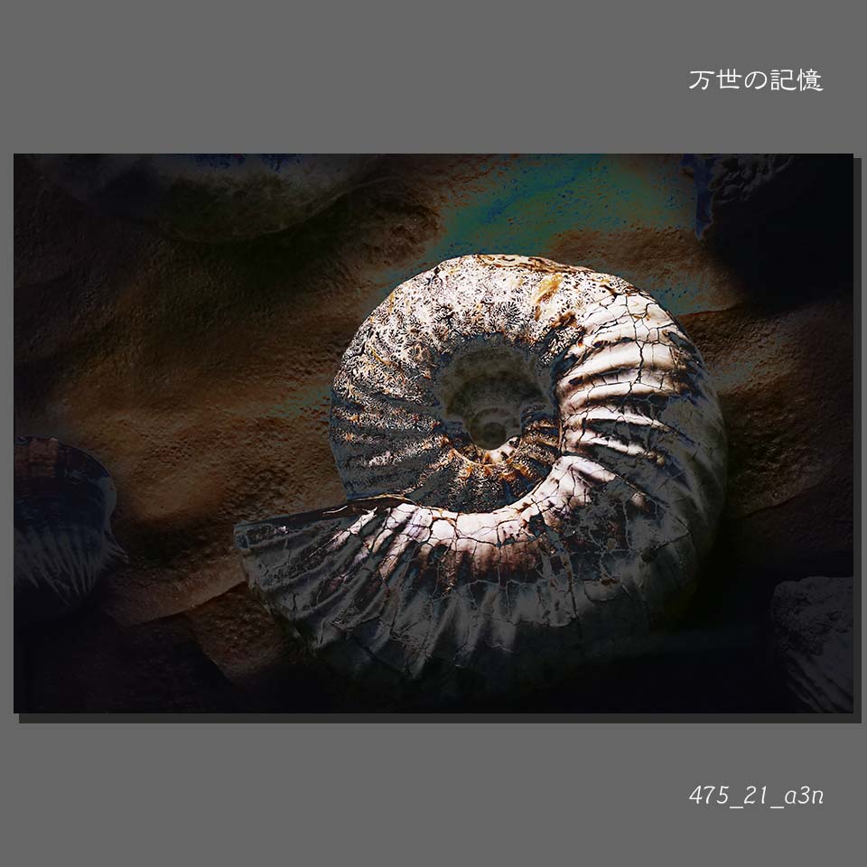 475_21