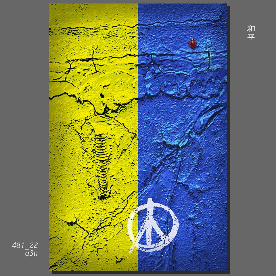 481ukraine