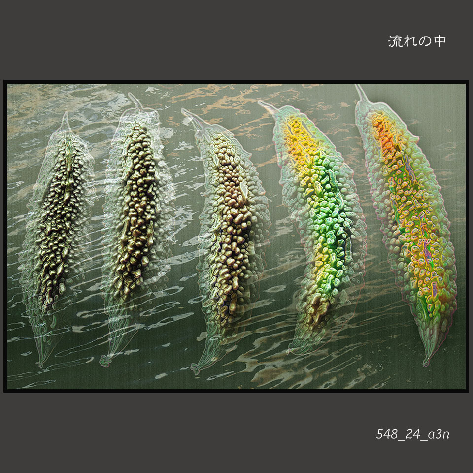 548_24