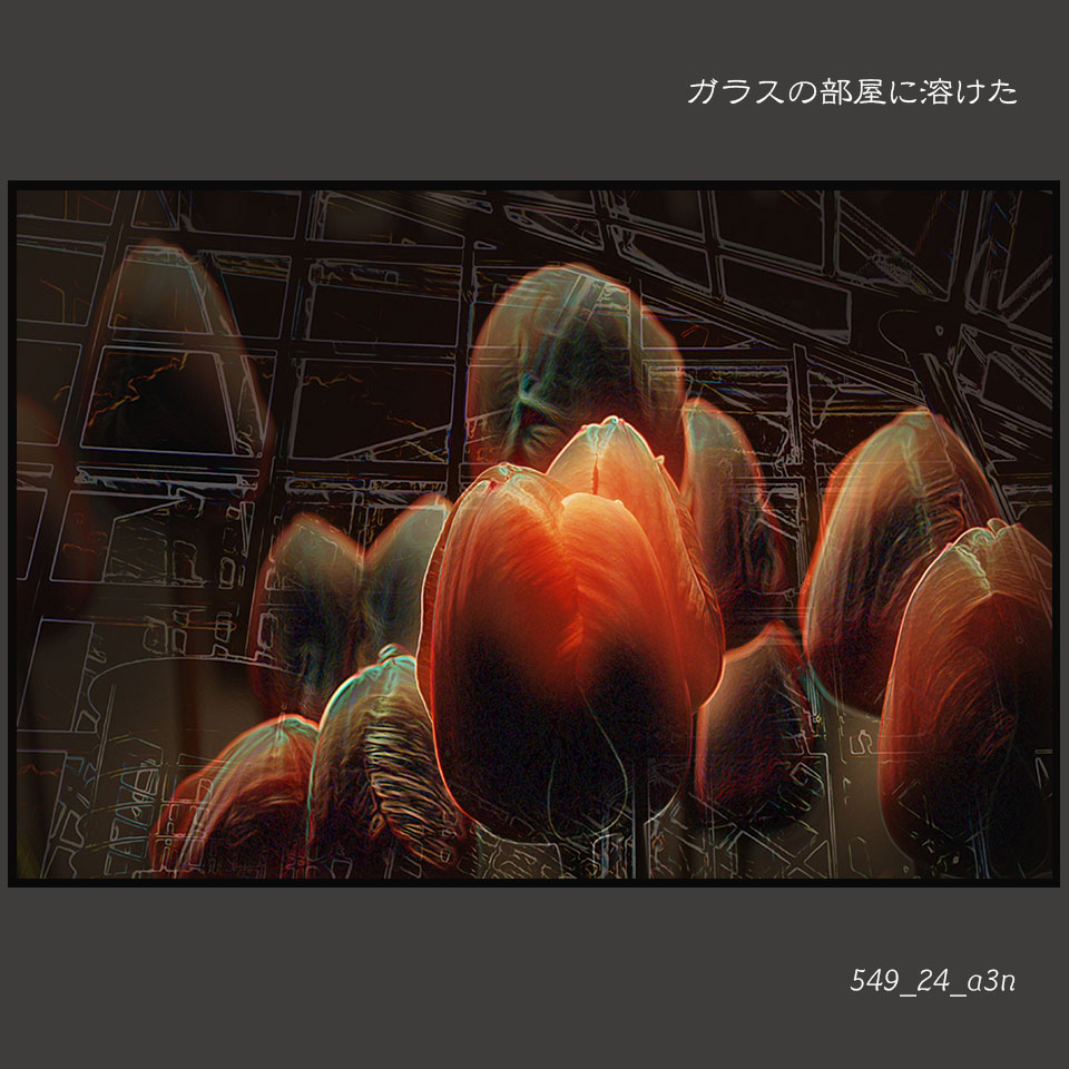 549_24