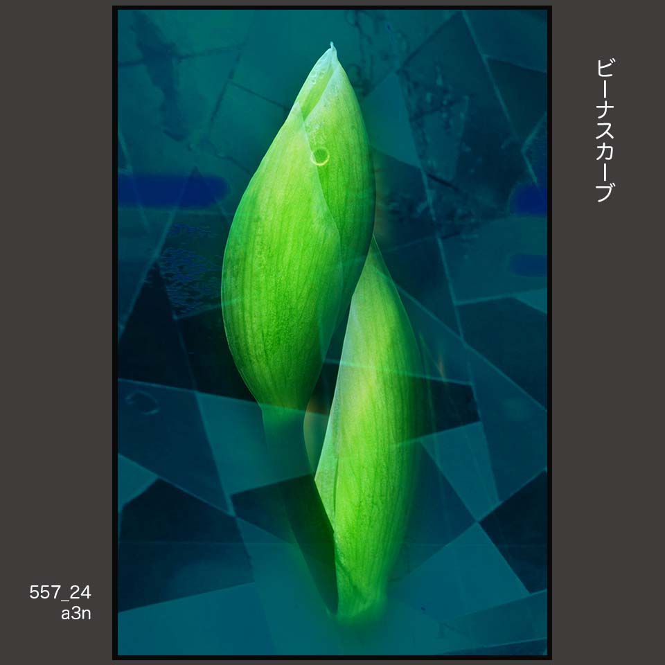 557_24