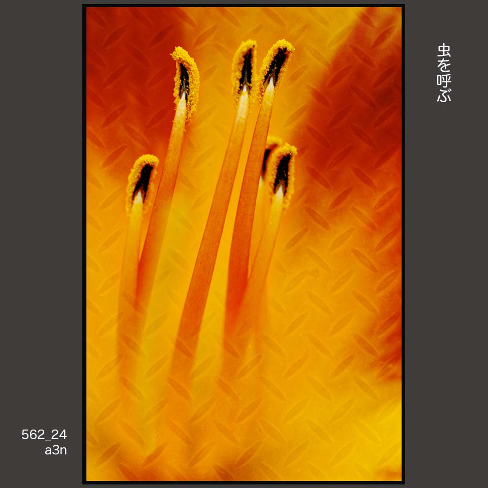 562_24
