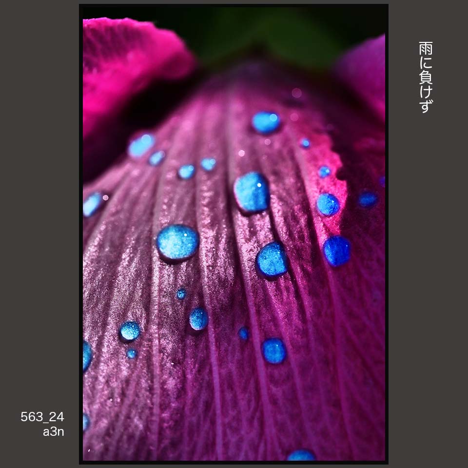 563_24