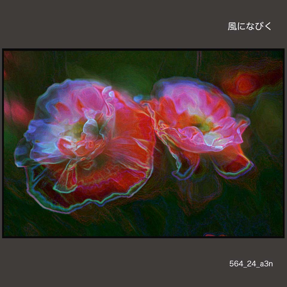 564_24
