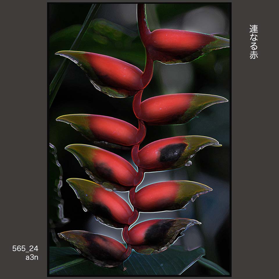 565_24