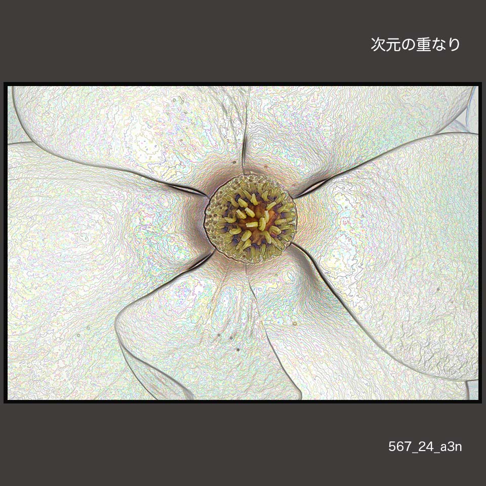567_24