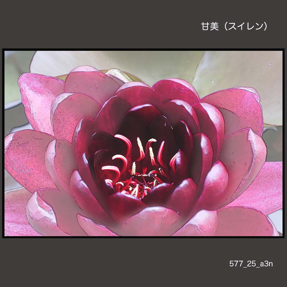 577-25