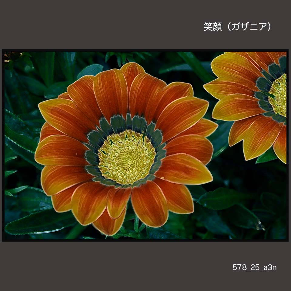578-25