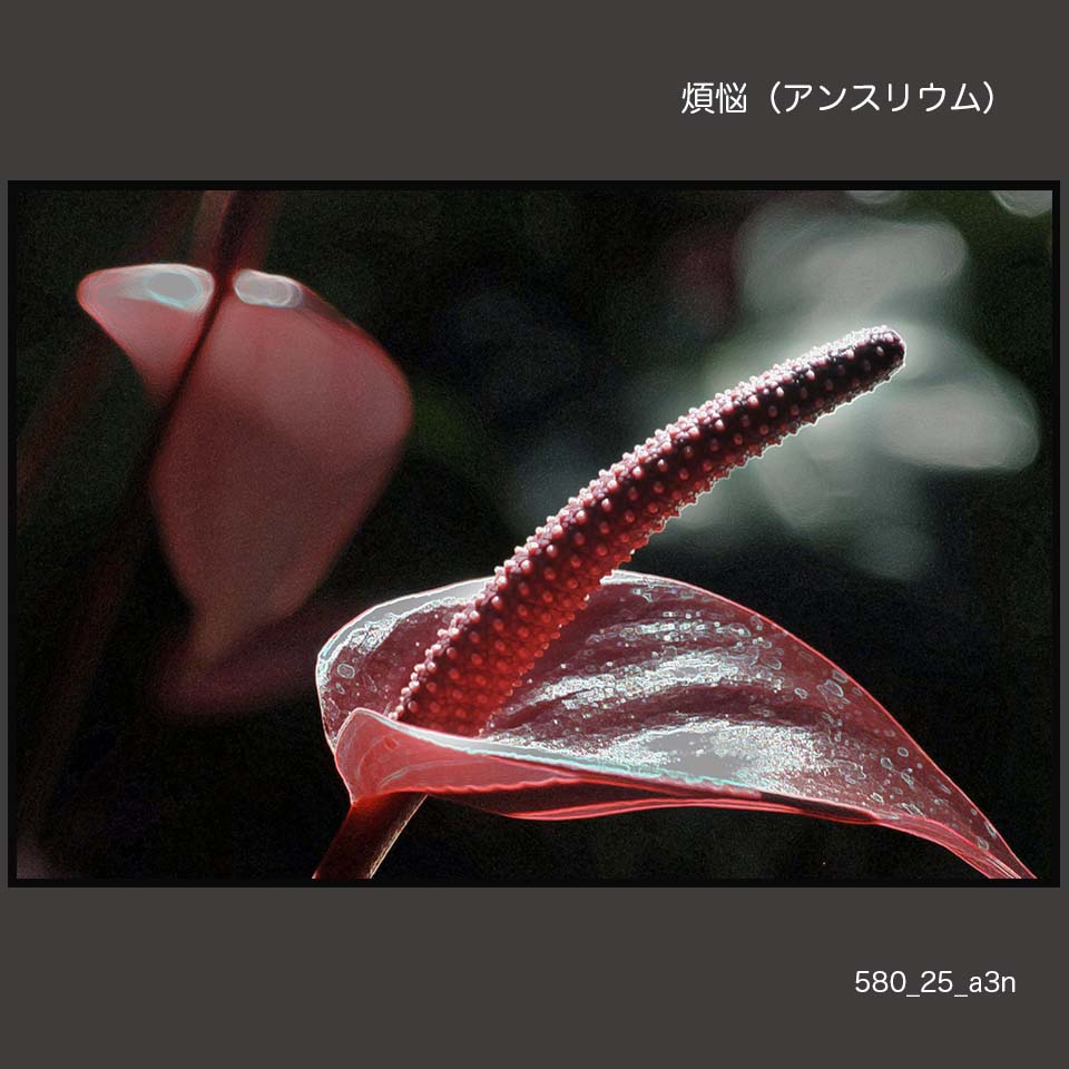 580-25