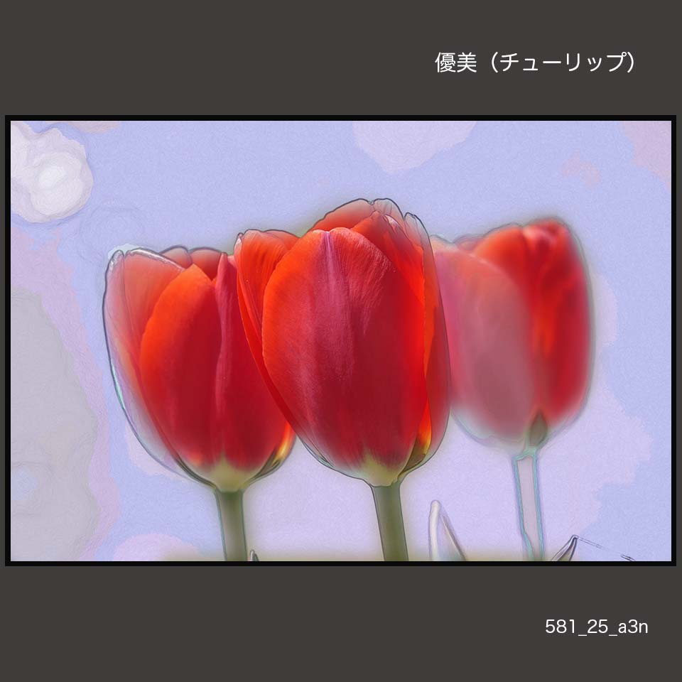 581-25